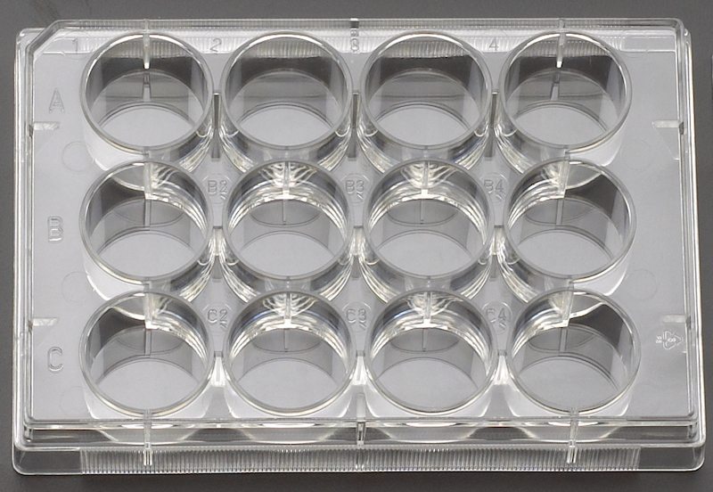 Celltreat Untreated 12 Well Cell Culture Plates ⋆