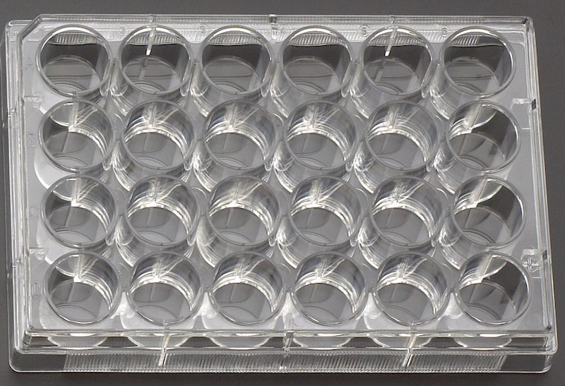 CELLTREAT 6-Well Treated Culture Plate With Lid - 50 Plates Per Case Lab Equipment