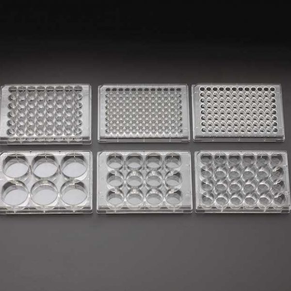 Celltreat 6 Well Cell Culture Plates ⋆ Morganville Scientific