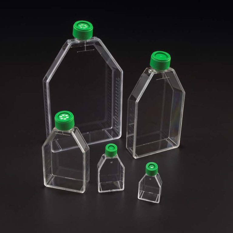 Celltreat T75 Cell Culture Flasks ⋆ Scientific
