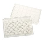 Celltreat 24 Well Glass Bottom Cell Culture Plates 229125